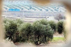 Ter&ouml;ristlerin Afrin'de 'kıyafet' oyunu