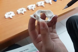 Manuel tedavide atlas kemiğinin yeri ve &ouml;nemi