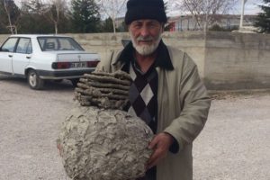 Eskişehir'de evinin &ccedil;atısında yaban arısı yuvası&nbsp;buldu!