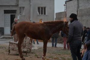 Ter&ouml;r &ouml;rg&uuml;t&uuml;n&uuml;n attığı roket ahıra isabet etti!