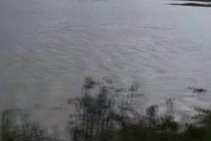 Adana'da tarım alanlarını su bastı