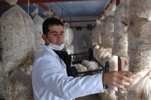 Kahvehaneyi "mantarhane"ye d&ouml;n&uuml;şt&uuml;rd&uuml;