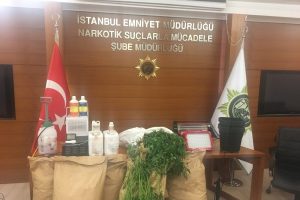 Apartman dairesindeki uyuşturucu serasına polis baskını