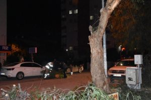 Şiddetli r&uuml;zgar ağa&ccedil;ları yıktı