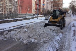 Doğu Anadolu'da kar etkili oluyor