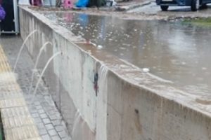 Bursa'da y&uuml;zme bilen yaya aranıyor!