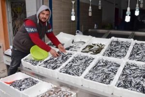 Balık fiyatları cep yakıyor!