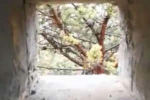 ABD icat etti, ter&ouml;ristler Afrin'de kullanıyor!