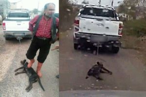 K&ouml;peği otomobilin arkasında s&uuml;r&uuml;kleyen &ouml;ğretmen i&ccedil;in soruşturma