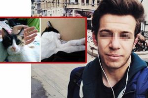 &Uuml;niversite &ouml;ğrencisi iki kediyi katletti iddiası