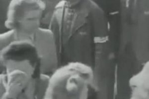 Almanlar, Nazi kamplarını b&ouml;yle gezmiş