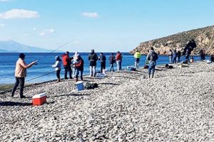 Balık &ccedil;iftliği patladı 80 ton &ccedil;ipura ka&ccedil;tı!