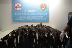 Atat&uuml;rk havalimanı'nda 'porsuk k&uuml;rk&uuml;' operasyonu