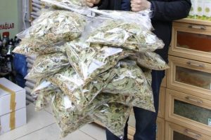 Kışın vazge&ccedil;ilmezi ıhlamur 70 liradan satılıyor