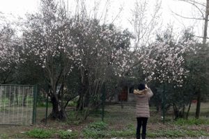 Şaşırtan g&ouml;r&uuml;nt&uuml;! Herkes durup fotoğrafını &ccedil;ekiyor