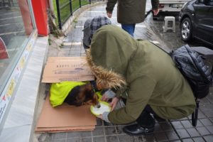 &Uuml;ş&uuml;yen k&ouml;pek i&ccedil;in seferber oldular