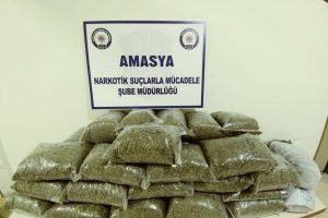 Durdurulan ara&ccedil;ta 21.8 kilo bonzai!
