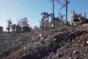 Mehmet&ccedil;ik Burseya Dağı'ndaki EYP'leri temizliyor