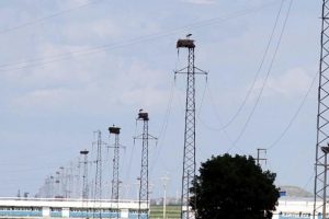 Elektrikte son kaynak tedarik tarifesi rekabeti artıracak