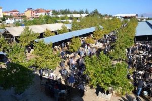 15 mahallede hayvanlar karantinaya alındı