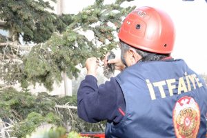Ayağına ip dolanan kuşu itfaiye kurtardı