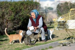 Muazzez teyzenin 5 kilometrelik 'iyilik' yolculuğu