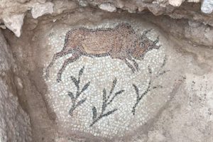 Bin 500 yıllık kilise ortaya &ccedil;ıkarıldı
