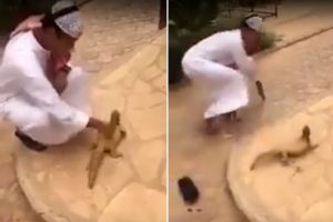 Oyuncak sandı, ger&ccedil;ek &ccedil;ıkınca hopladı
