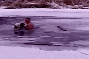 K&ouml;peği kurtarmak i&ccedil;in &ouml;l&uuml;m&uuml; g&ouml;ze aldı