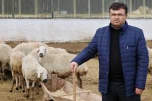 Yerli &ccedil;oban sıkıntısı Afganlılara istihdam sağladı