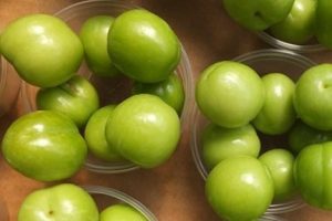 Şili'den getirildi! Tanesi 10 liraya erik