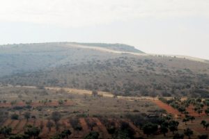 Burseya-Darmık dağları arasında sıcak &ccedil;atışma