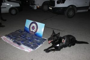 Uyuşturucu tacirlerine darbe