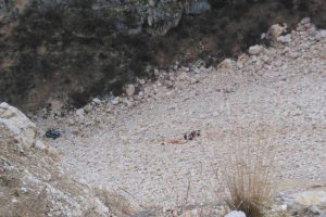 Otomobil u&ccedil;uruma yuvarlandı: 1 &ouml;l&uuml;