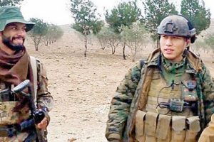 Hainlerin umutları yabancı cenazelerde!
