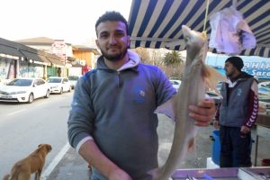 Bursalı balık&ccedil;ılar Marmara'da k&ouml;pek balığı yakaladı!