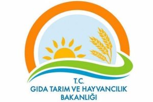 G&ouml;revde Y&uuml;kselme ve Unvan Değişikliği Sınavı ekimde yapılacak
