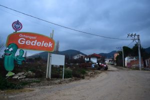 Bursa'da üç kuşaktır turşu kuran köy göç vermiyor
