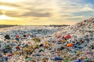 BBC tek kullanımlık plastikleri yasaklayacak