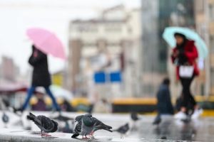 İstanbul'un Anadolu Yakası hafif yağmurlu ge&ccedil;ecek