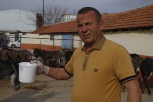 Turizmi bıraktı, eşek s&uuml;t&uuml; &uuml;retimine başladı