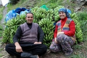 Muzda rekor fiyat &uuml;reticinin y&uuml;z&uuml;n&uuml; g&uuml;ld&uuml;rd&uuml;