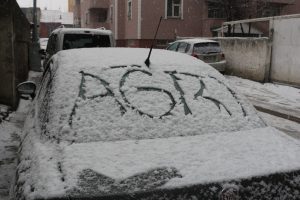 Ağrı'da kar yağışı etkili oluyor
