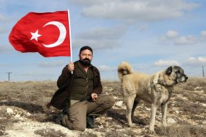 Kangal k&ouml;pekleri Zeytin Dalı Harekatına hazır