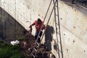 &Ccedil;aya d&uuml;şen k&ouml;pekler b&ouml;yle kurtarıldı