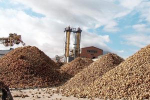 14 şeker fabrikası i&ccedil;in satış s&uuml;reci başlıyor