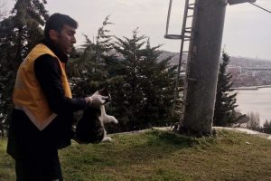 Y&uuml;r&uuml;yen merdivene sıkışan kediyi veteriner ekipleri kurtardı