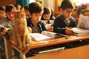 &Ouml;ğrencilerin sevgilisi 'Tombi', sınıfa geri d&ouml;n&uuml;yor