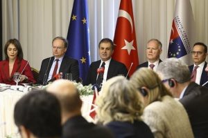 Bakan &Ccedil;elik AB b&uuml;y&uuml;kel&ccedil;ilerine Zeytin Dalı Harekatı'nı anlattı