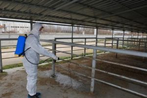 Yalova karantina altına alındı! Hayvan giriş &ccedil;ıkışları yasaklandı